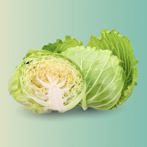 Website article_Cabbage Ezence_Ingredient1